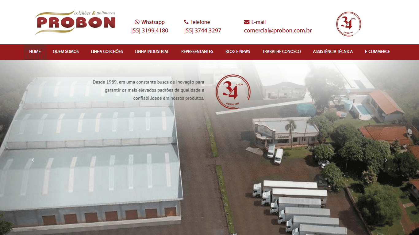 Screenshot do site probon.com.br