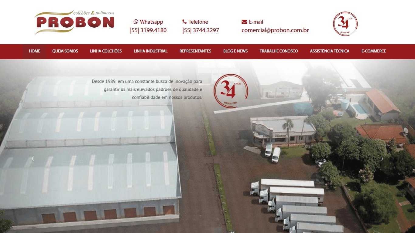 Screenshot do site probon.com.br